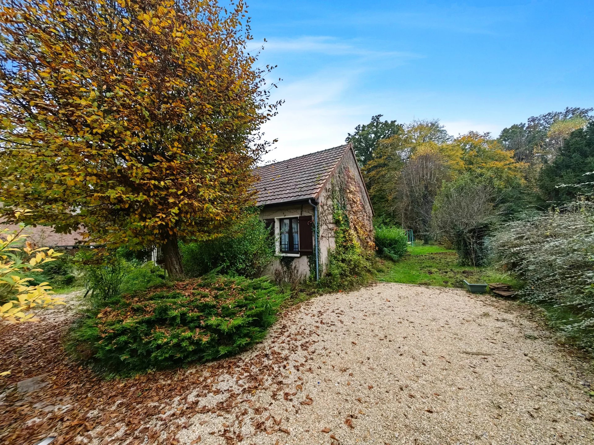 - Maison en lisière de forêt-