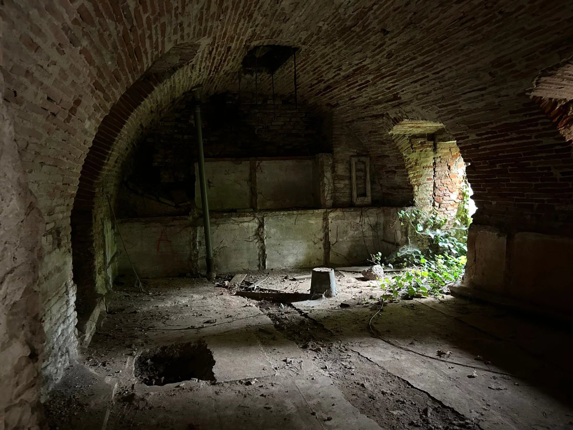 Sale Cellar Montauban