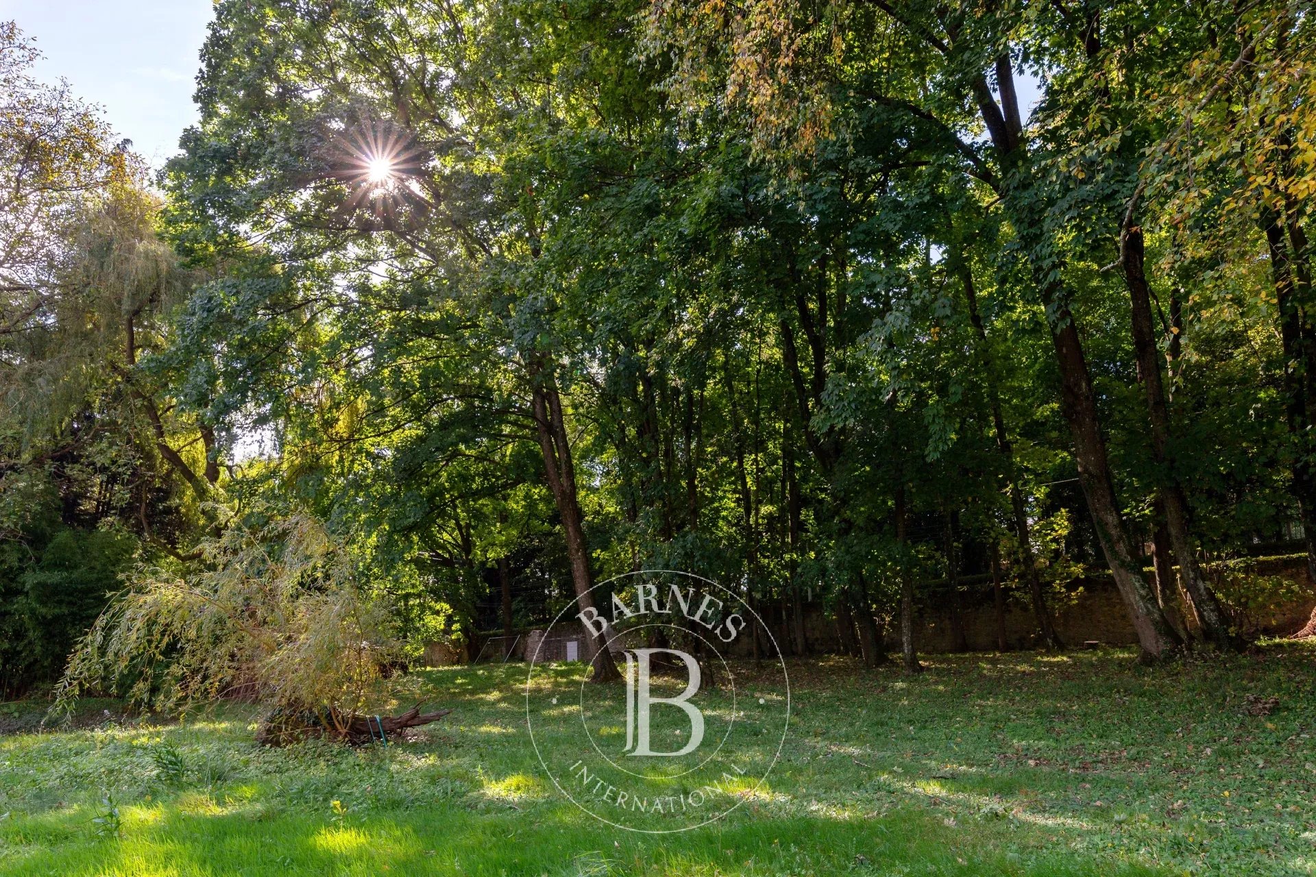 Arazi Saint-Cyr-au-Mont-d'Or - picture 7