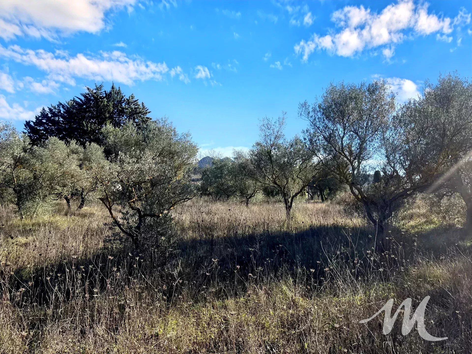 Vente Terrain constructible Barjols