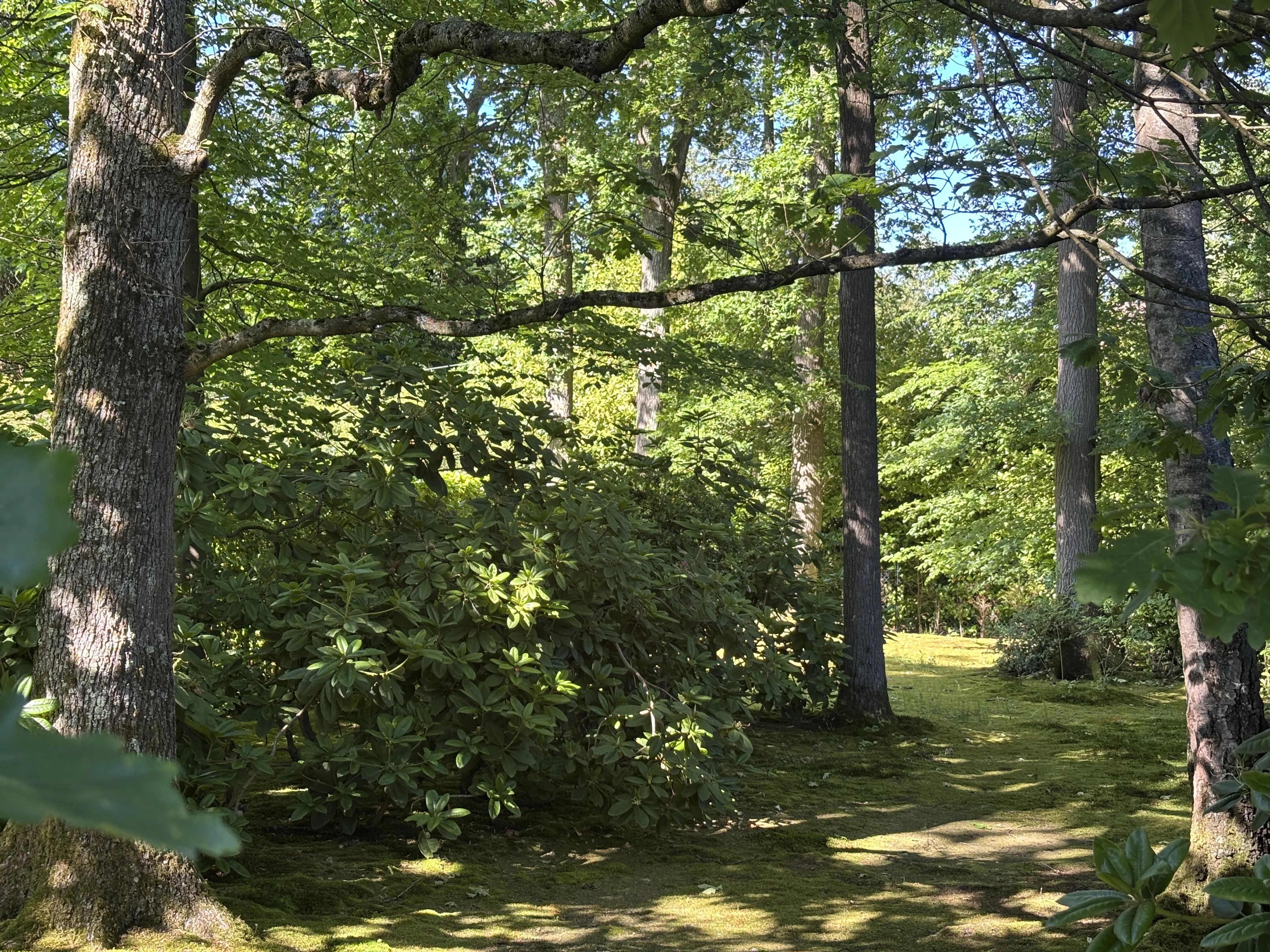 Élégante villa de caractère sur terrain +- 10 ares