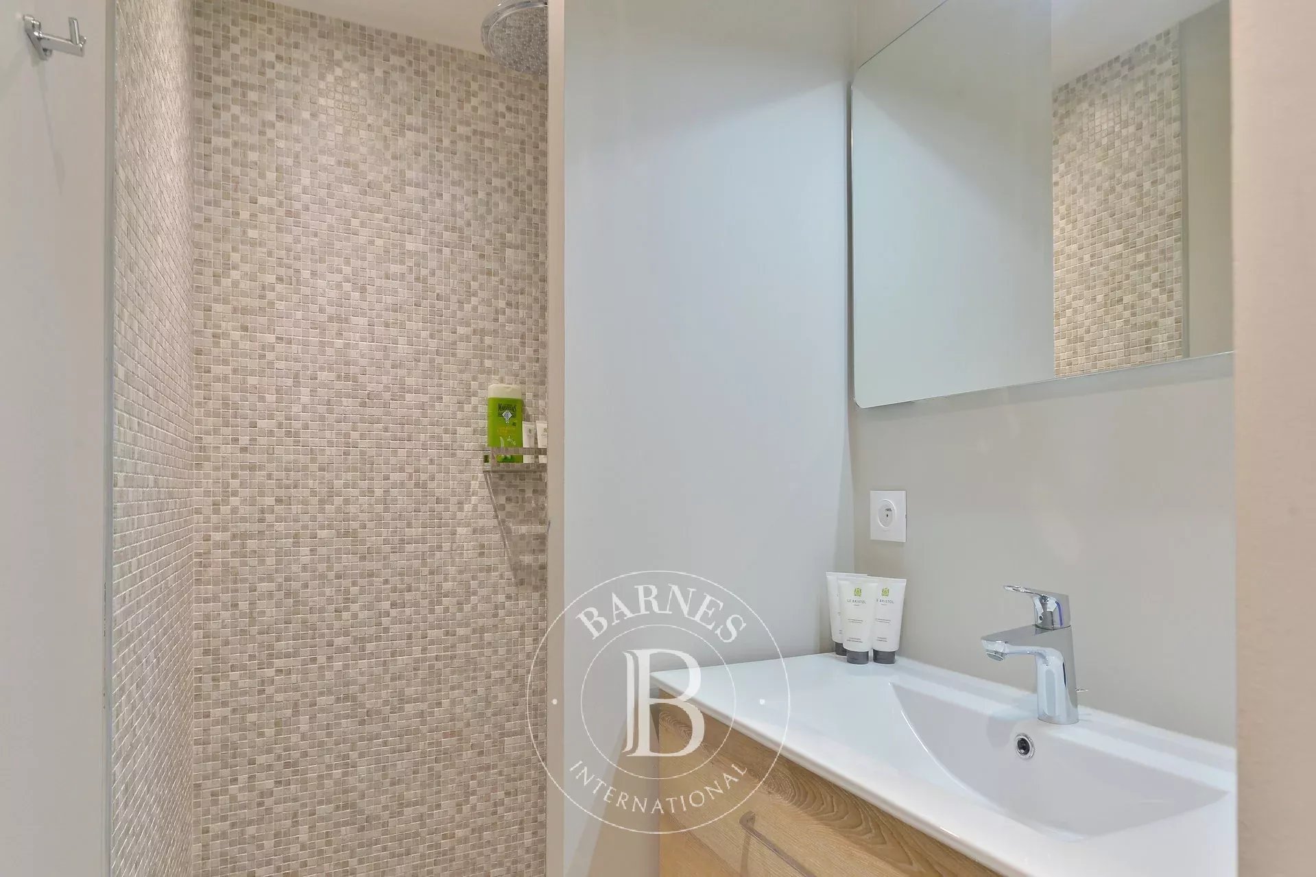 Daire Saint-Didier-au-Mont-d'Or - picture 12