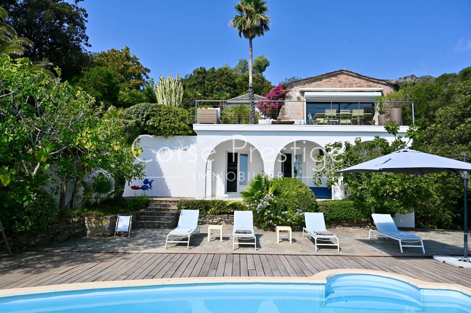 villa pieds dans l-eau - erbalunga - cap corse - haute corse image1