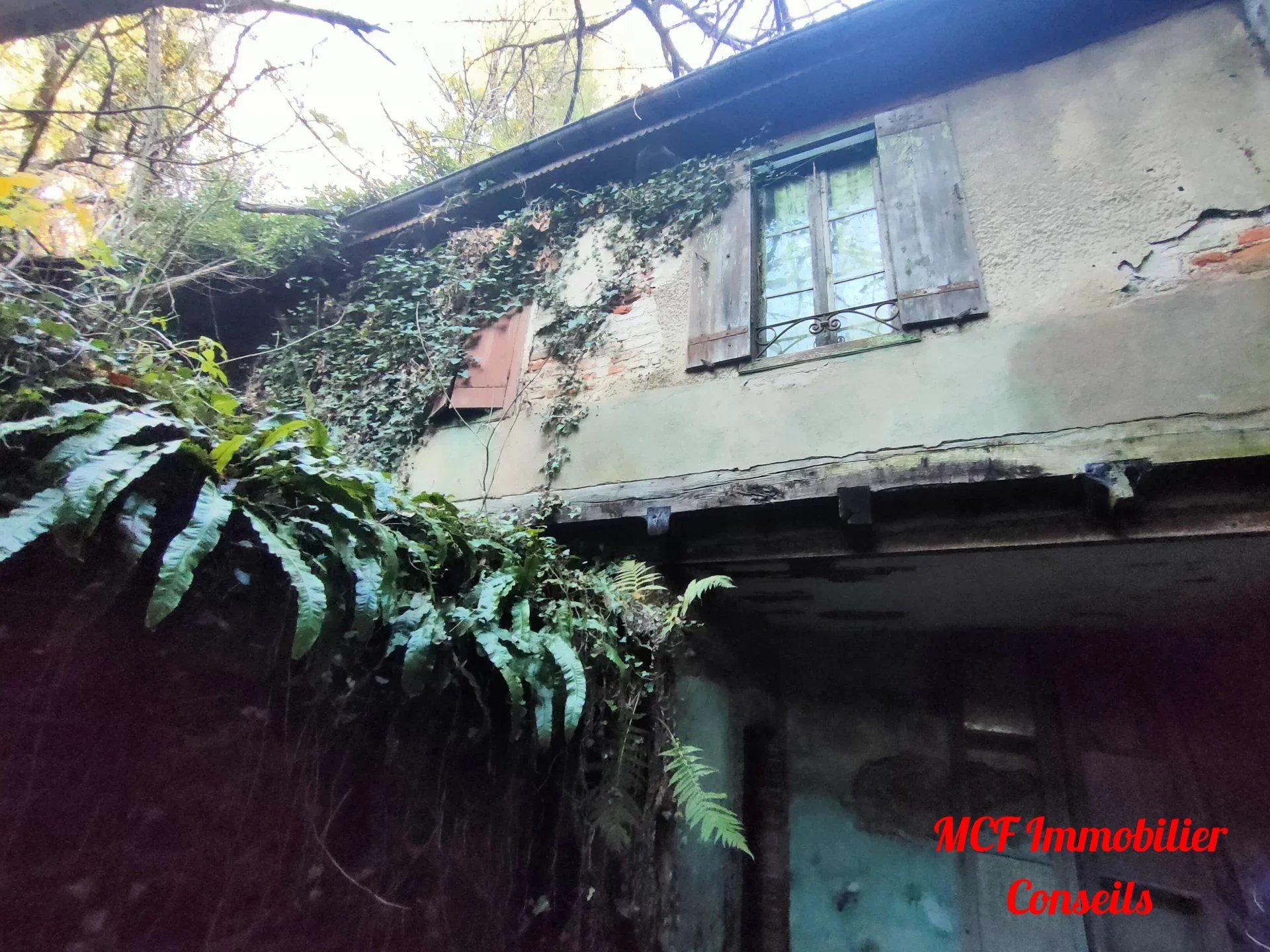 Agence immobilière de CAUMES DAVID