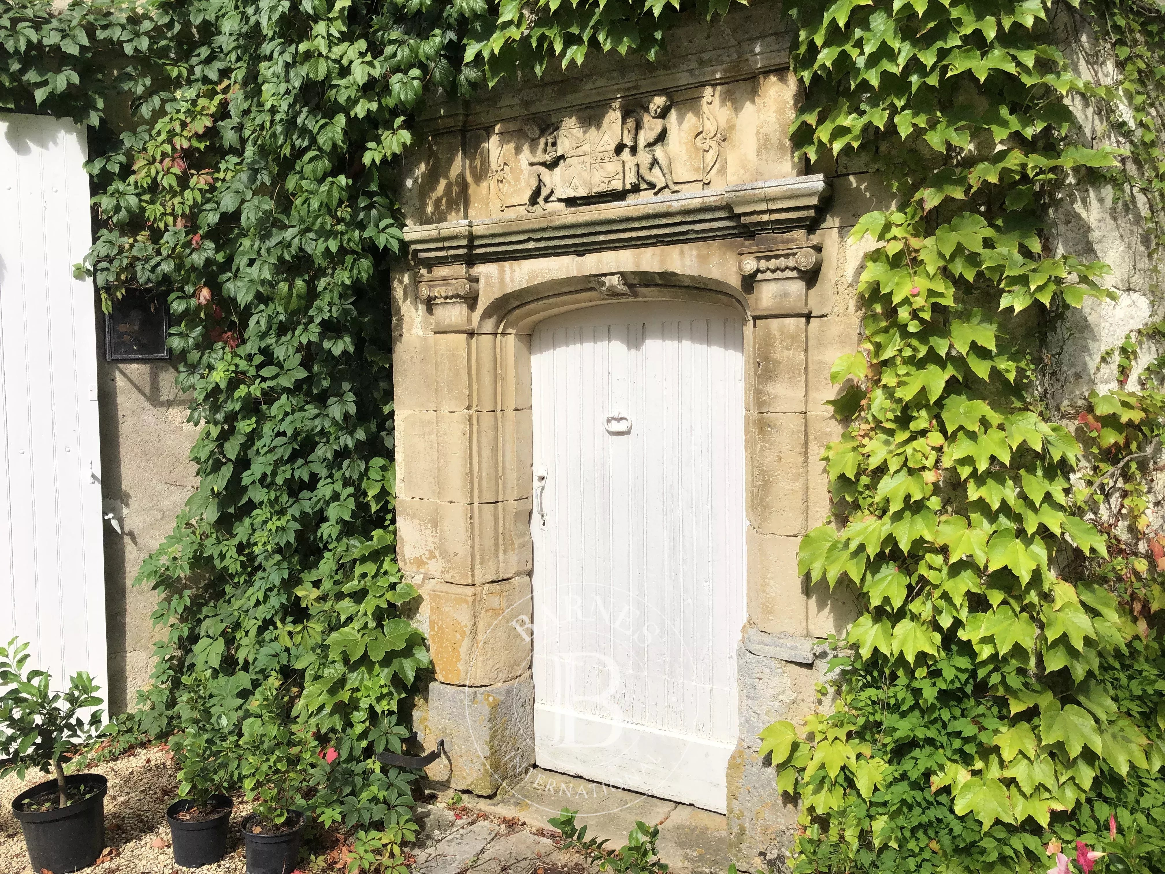 Bourges  - Manoir 10 Pi&egrave;ces - picture 4