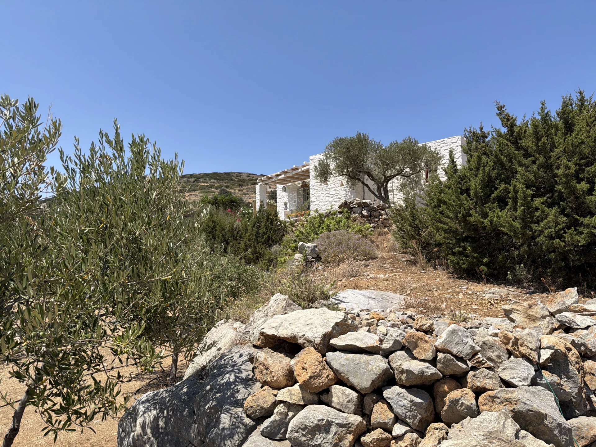 Image de la propriété 53