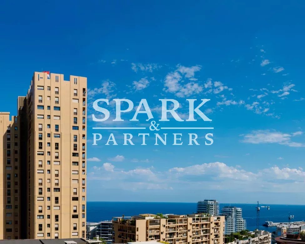 Somptueux duplex 5 pièces en cours de rénovation