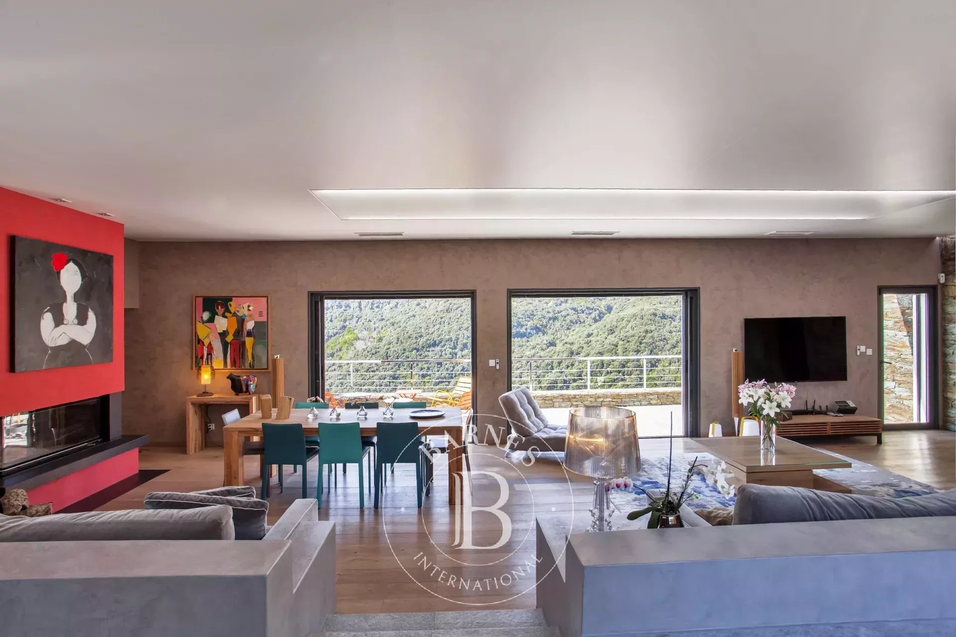 Villa Bastia - picture 8