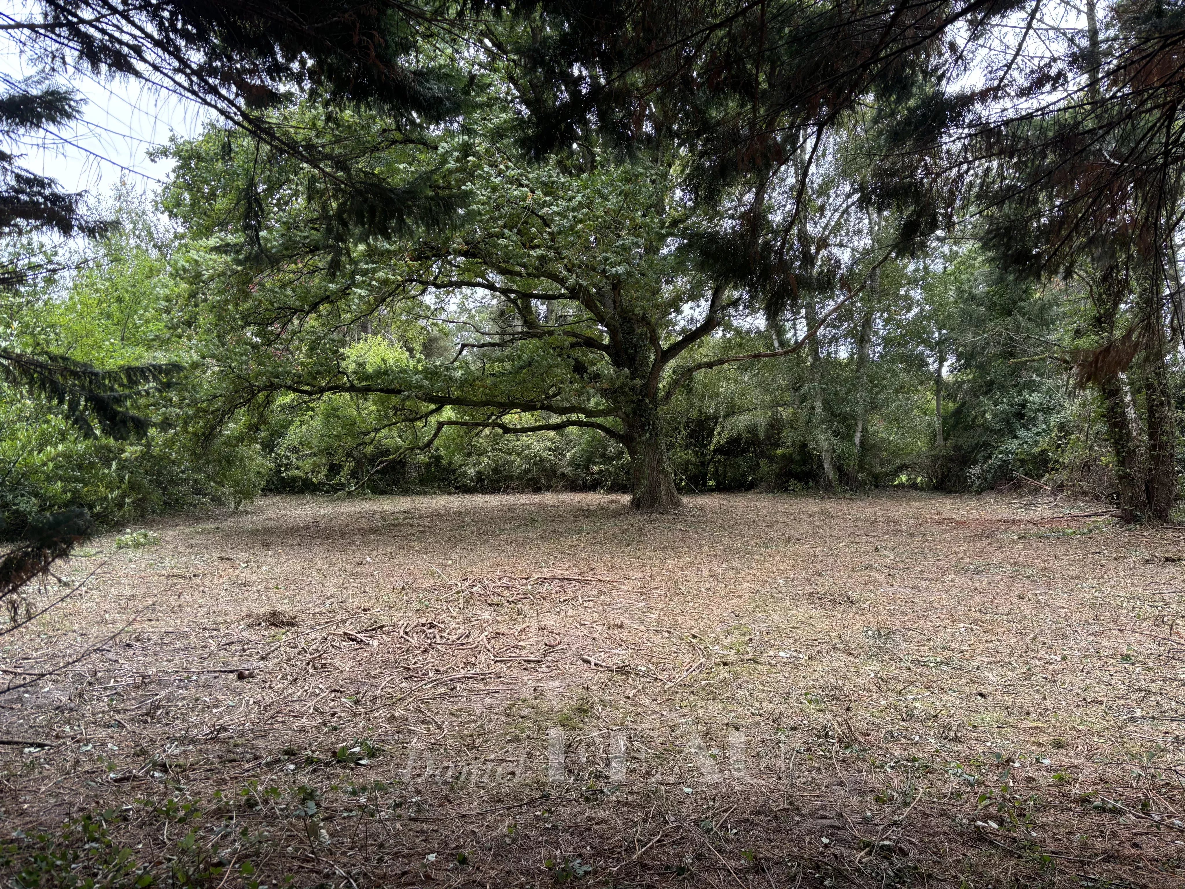 Vente Terrain Montfort-l'Amaury