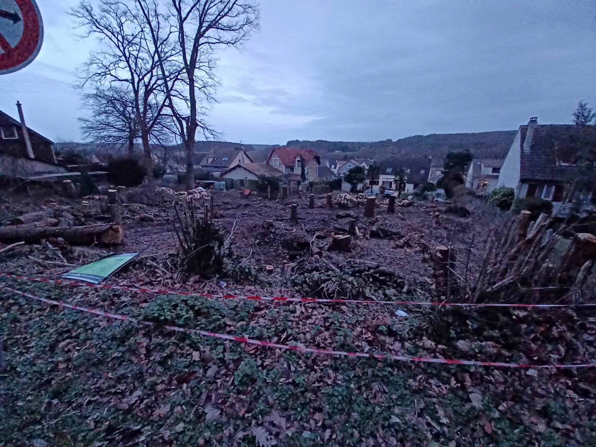 Agence immobilière de Elya Immobilier