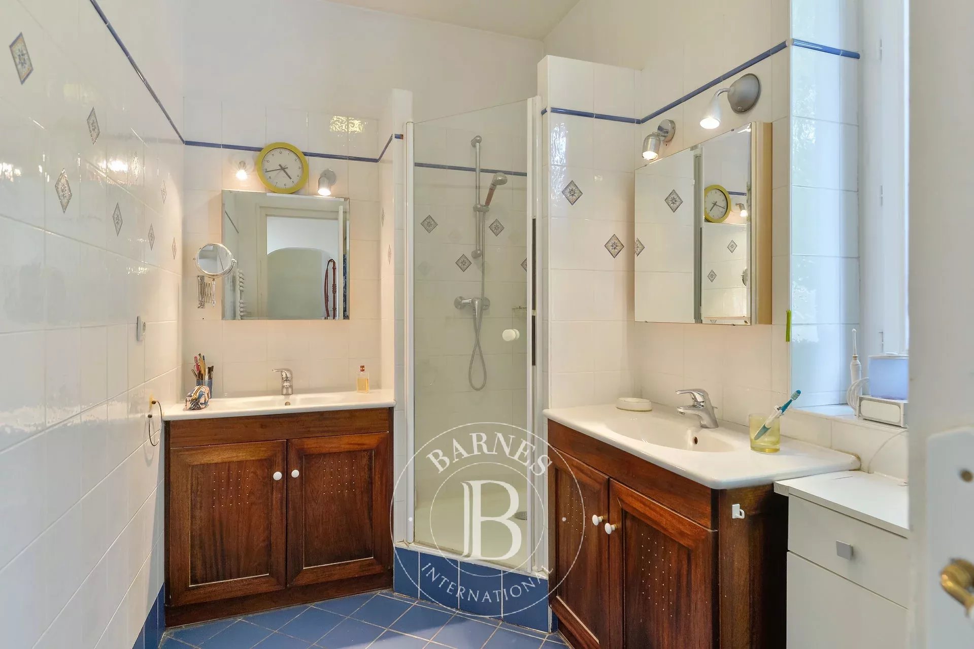 Ev Saint-Didier-au-Mont-d'Or - picture 7