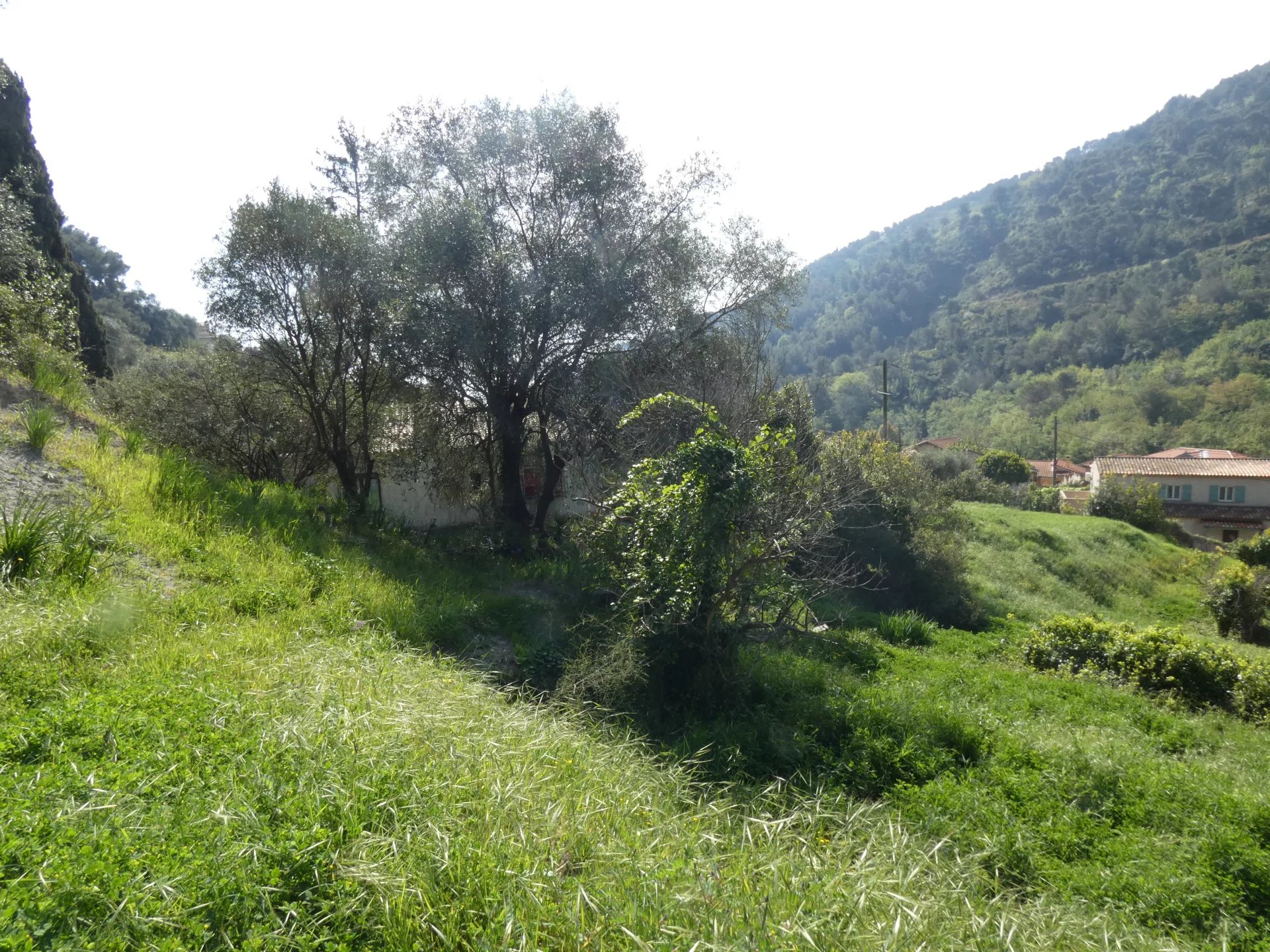 Vente Terrain constructible Gorbio