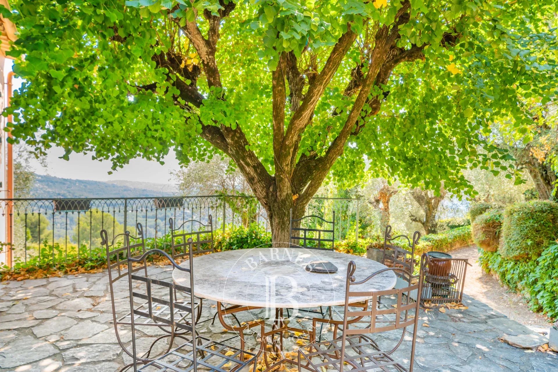 Ev Grasse - picture 5