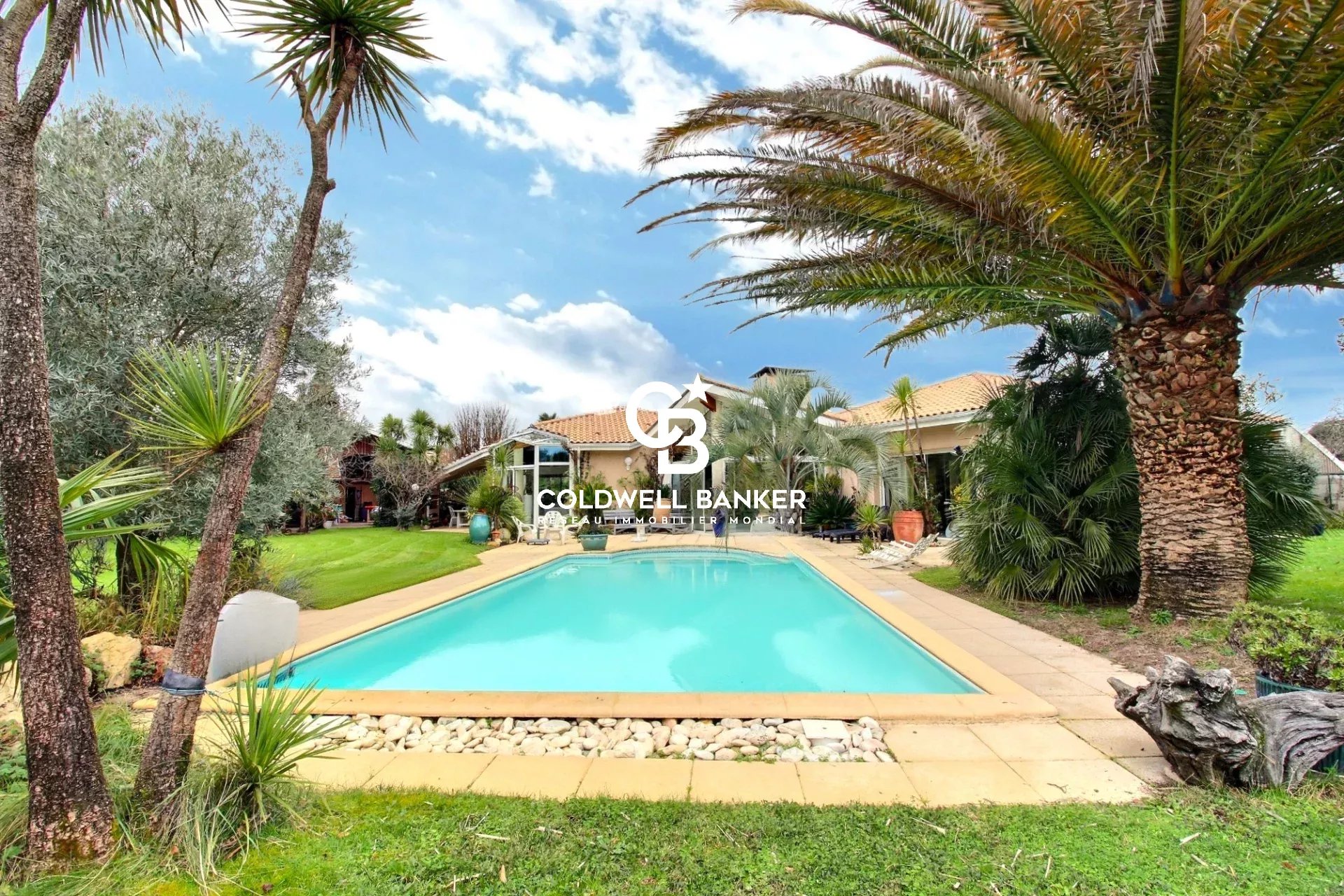 Agence immobilière de Silver Coast Int. Realty