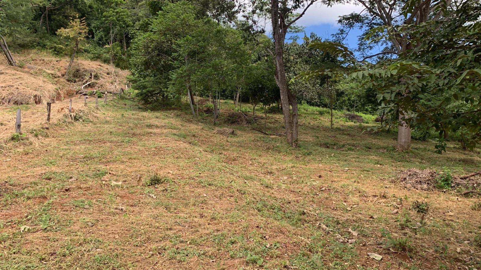 Sale Plot of land Tamarindo Linderos