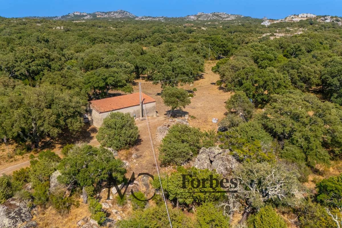 Apartment in Calangianus - view 1