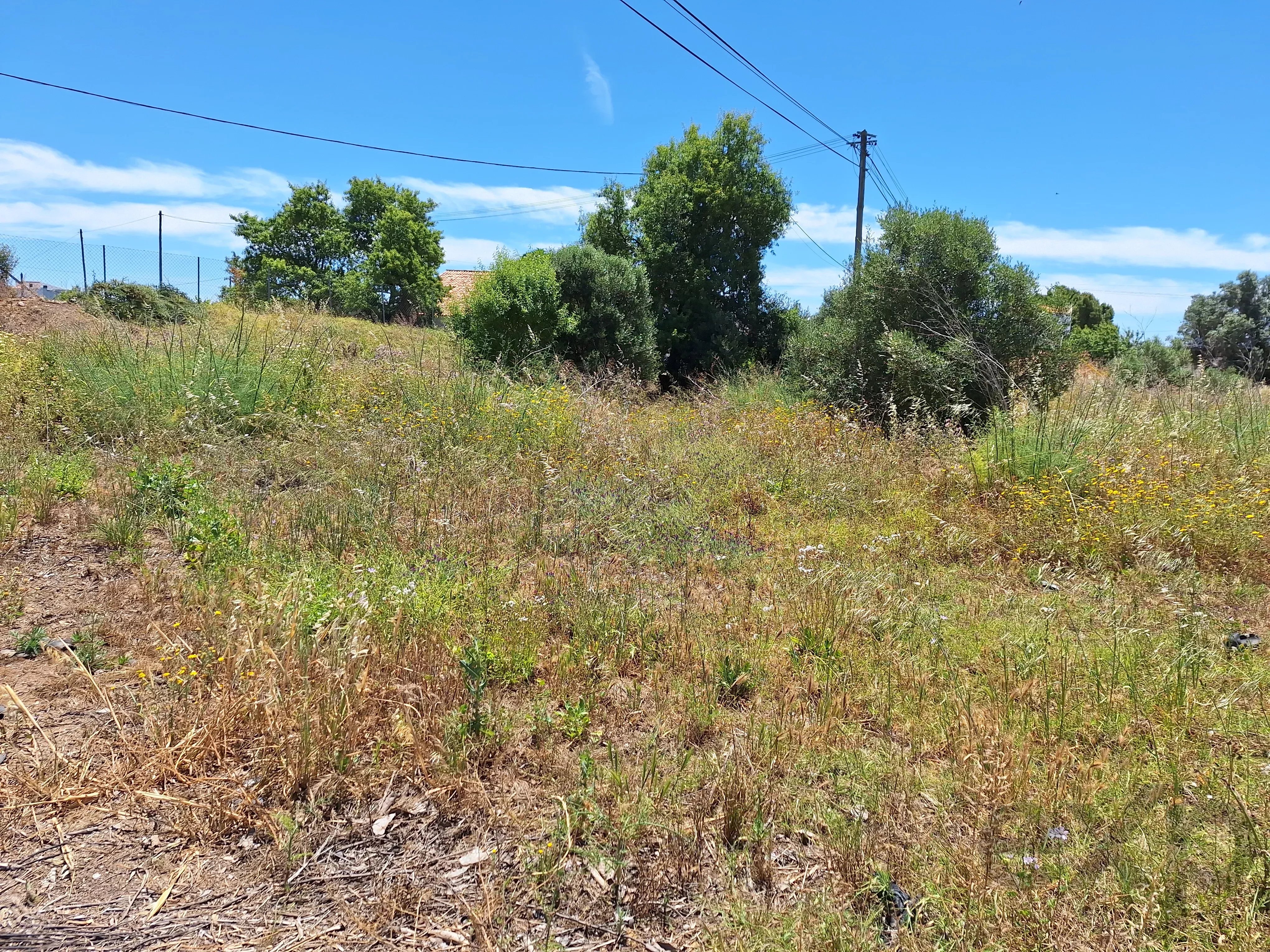 Rustic Land in Mar e Guerra 87032942 image 2