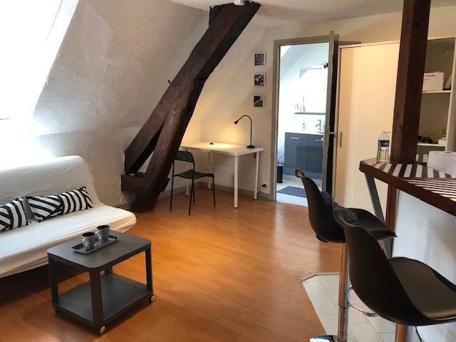 T1BIS MEUBLE - CENTRE VILLE - GRENOBLE