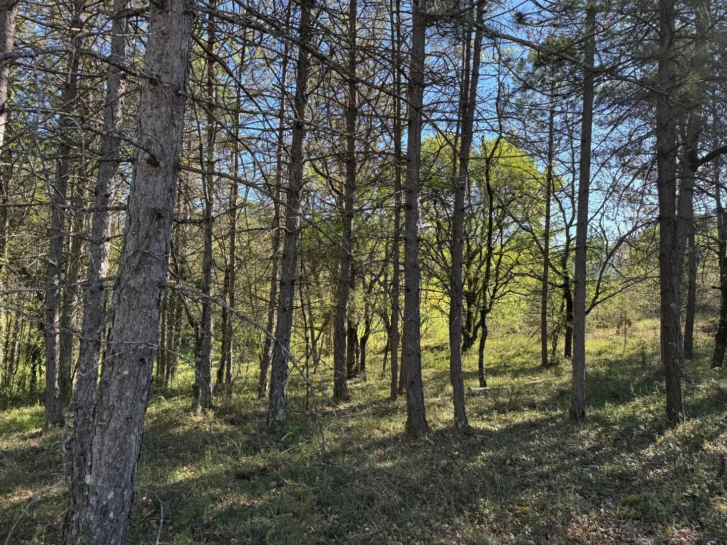 Agence immobilière de JCD IMMOBILIER