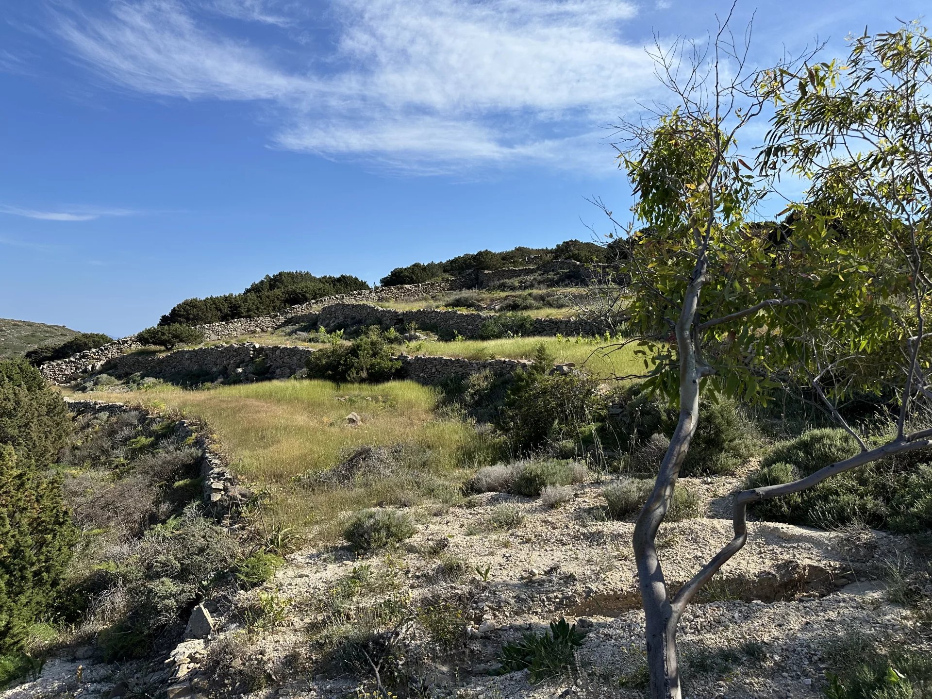 Εικόνα ιδιοκτησίας 3