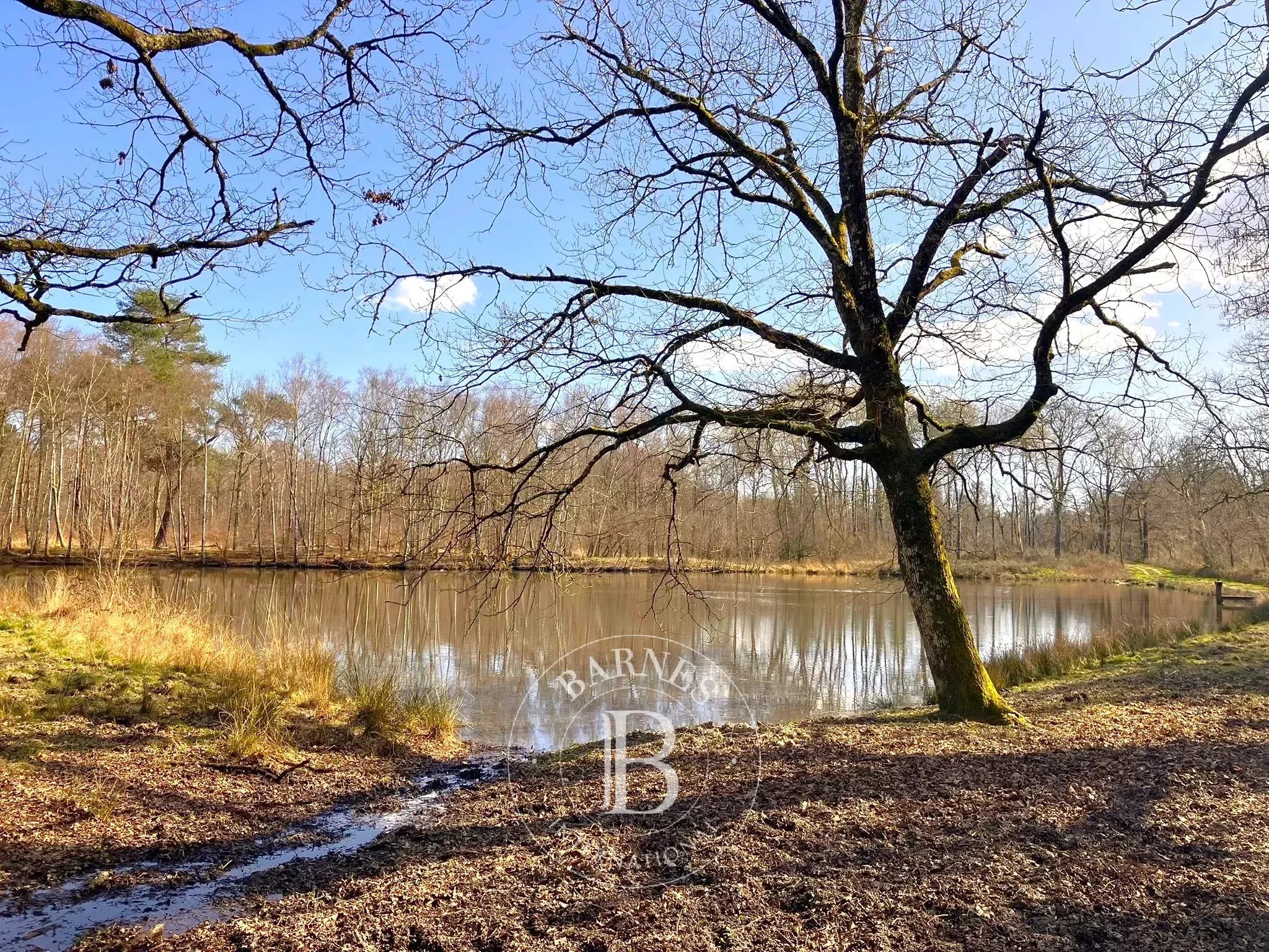 Propriété Lamotte-Beuvron  -  ref 86798537 (picture 2)