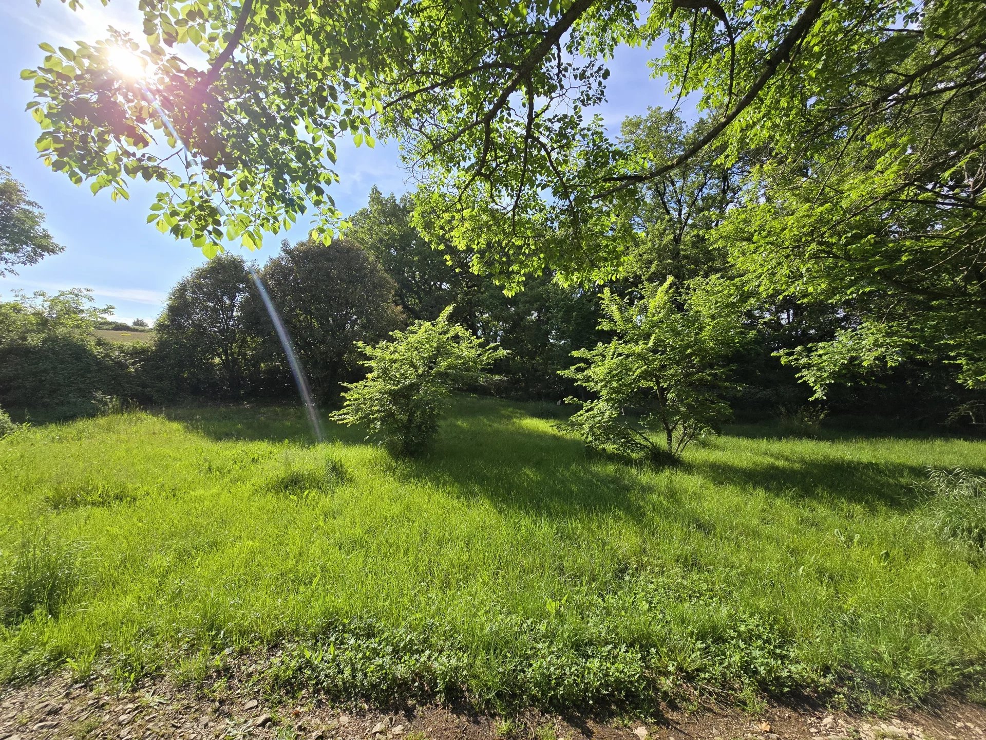 Vente Terrain constructible Lussan