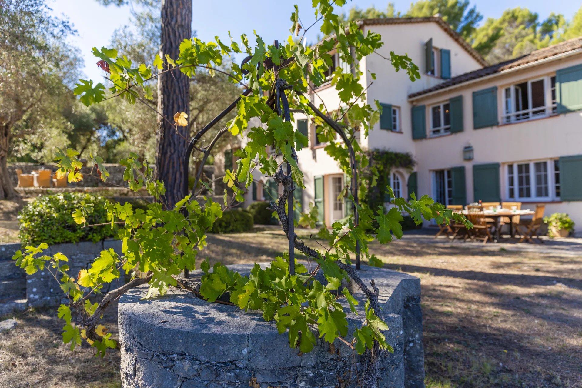 Beautiful house with swimming pool and large grounds - Grasse St Jacques Beautiful house with swimming pool and large grounds - Grasse St Jacques