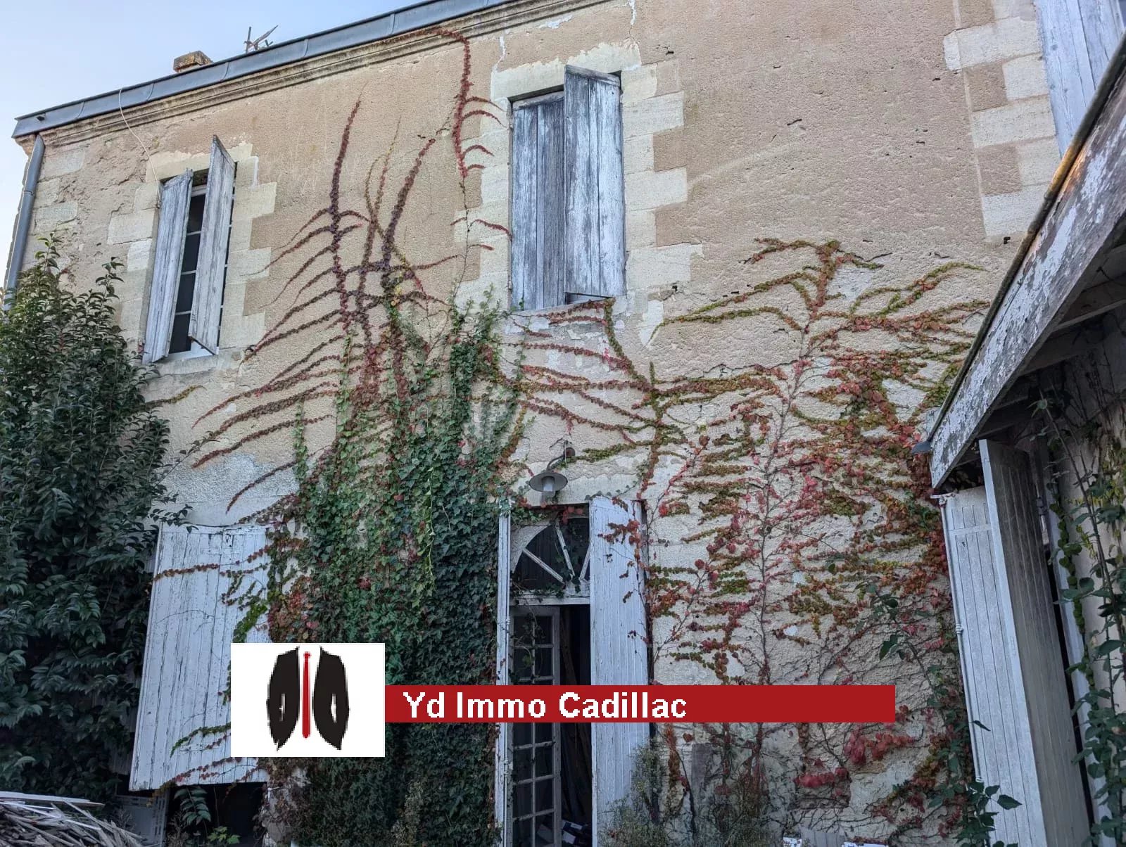 Agence immobilière de YD Immo