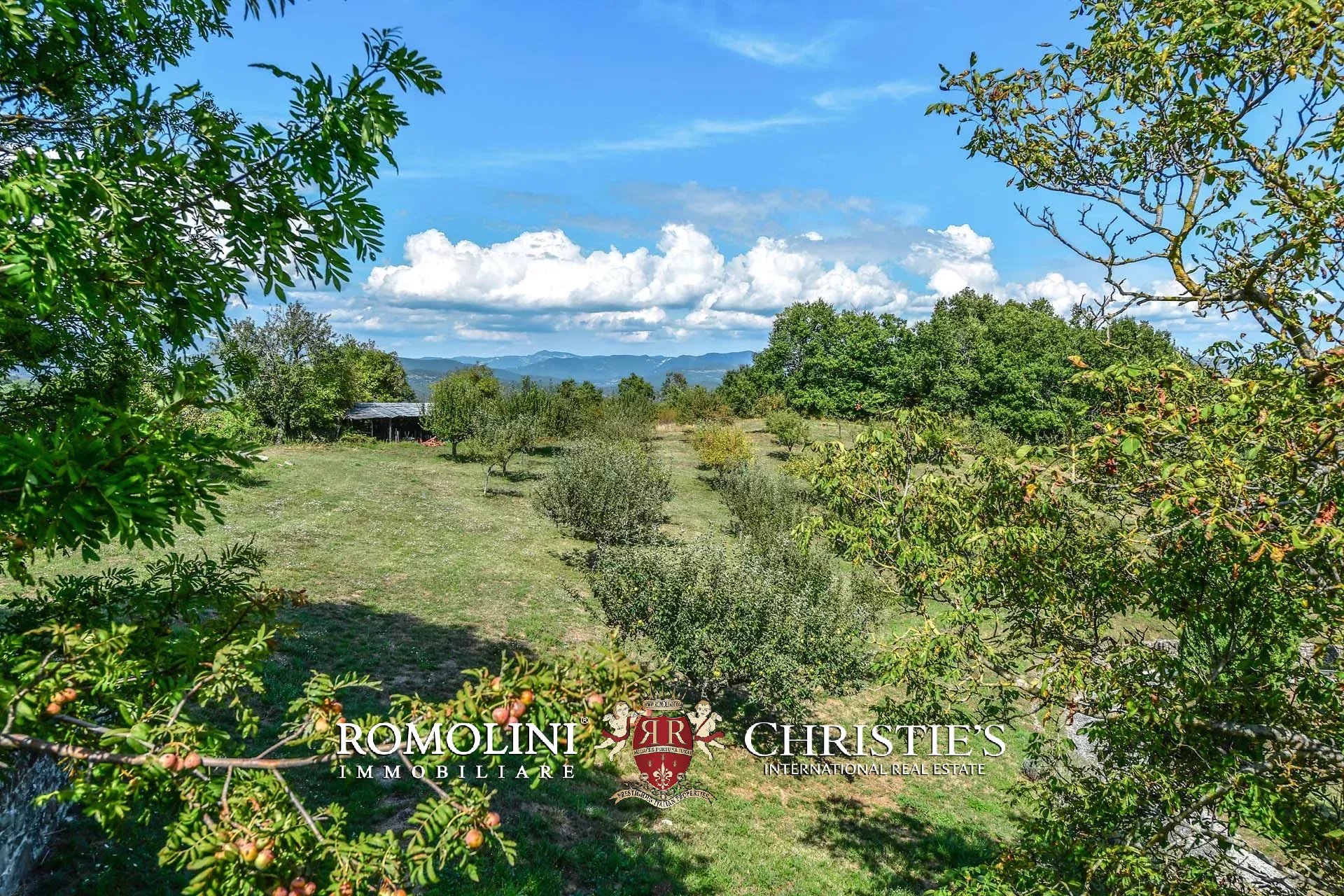 ORGANIC FARM, ESTATE FOR SALE TUSCANY