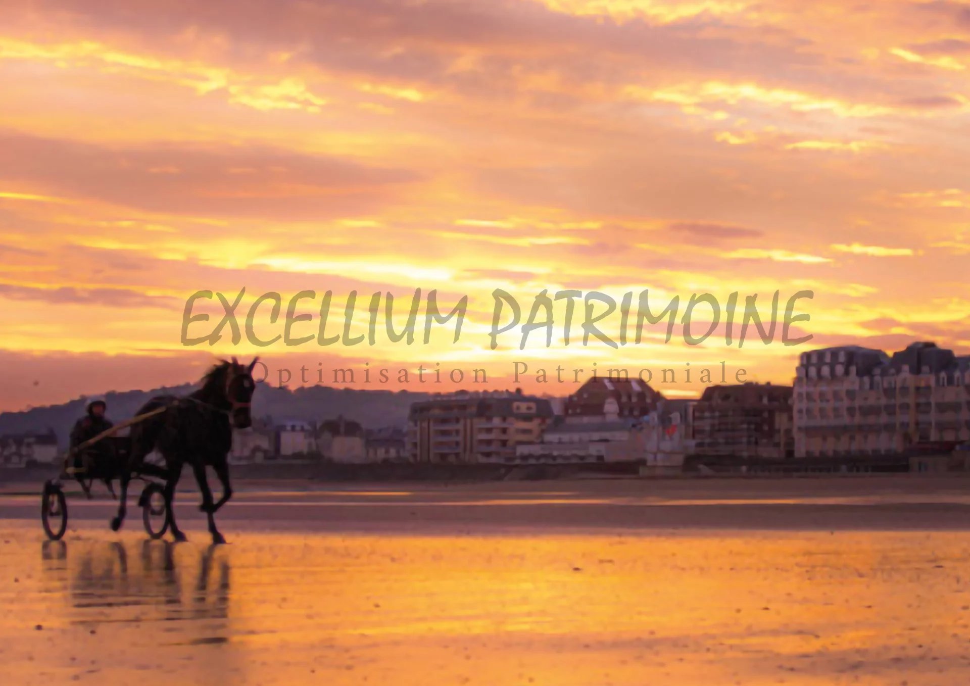 Agence immobilière de Excellium Patrimoine