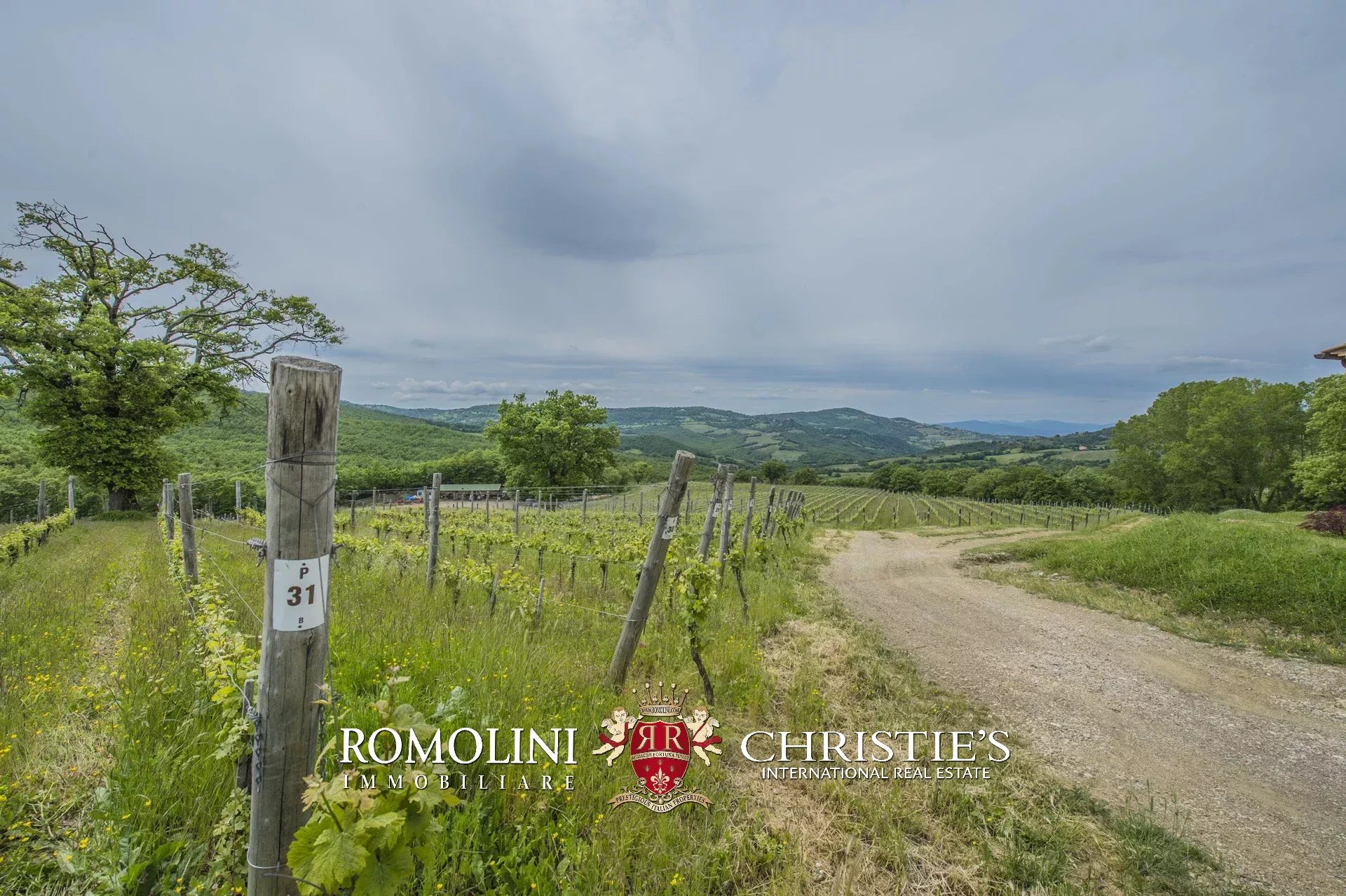 6 Bedroom Vineyard's Image 17