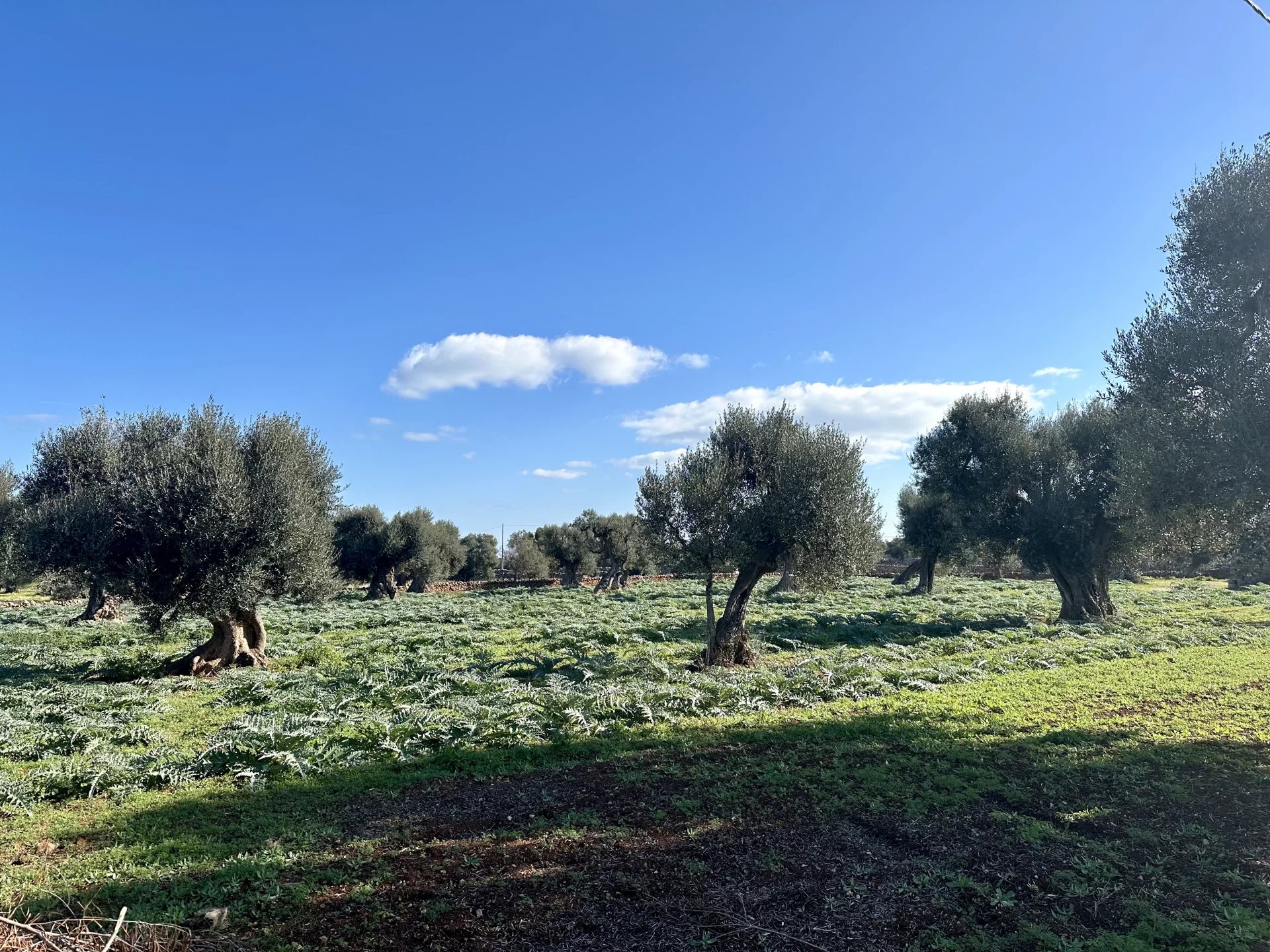 Venta Villa Fasano
