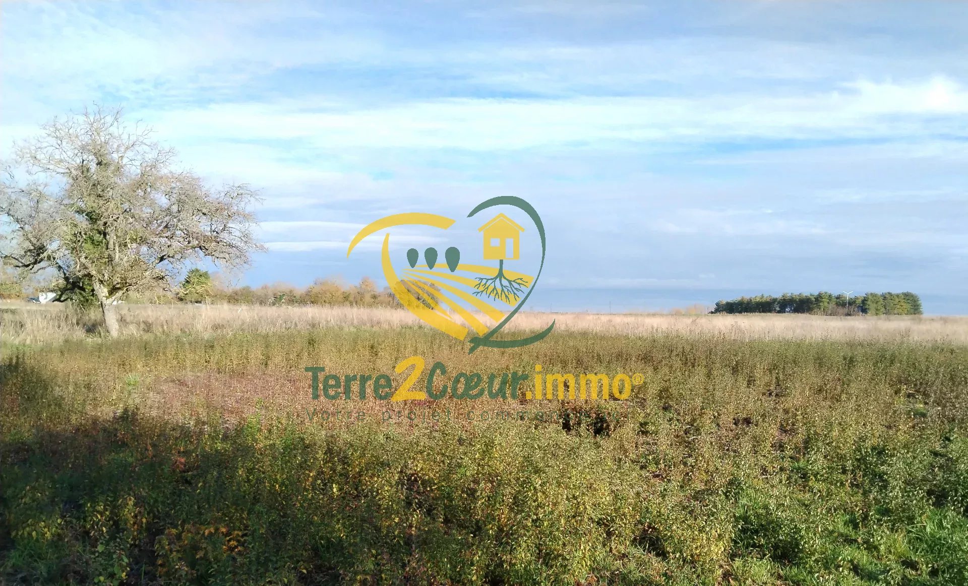 Agence immobilière de Monsieur Jérémy Garcia