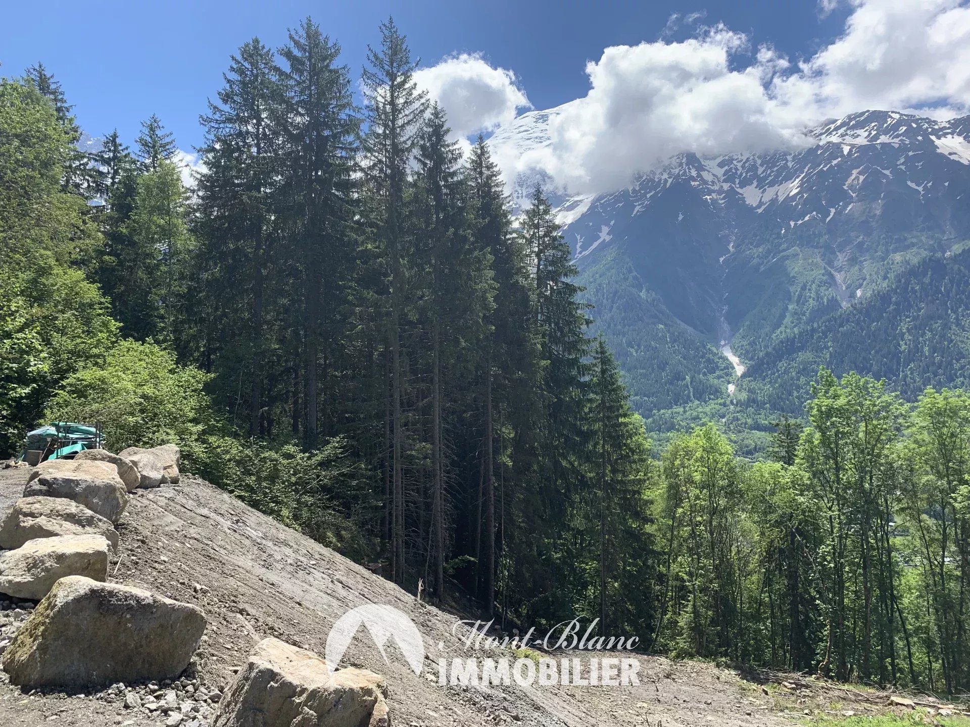 Agence immobilière de SAS MBI