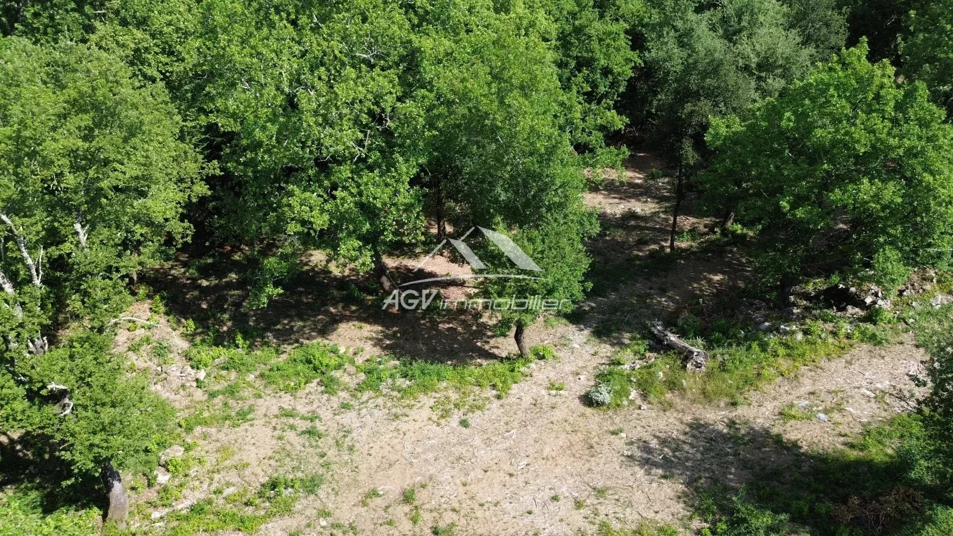 Agence immobilière de AGV IMMOBILIER