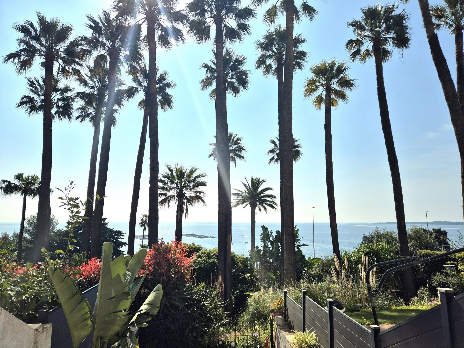Vente Appartement Cannes