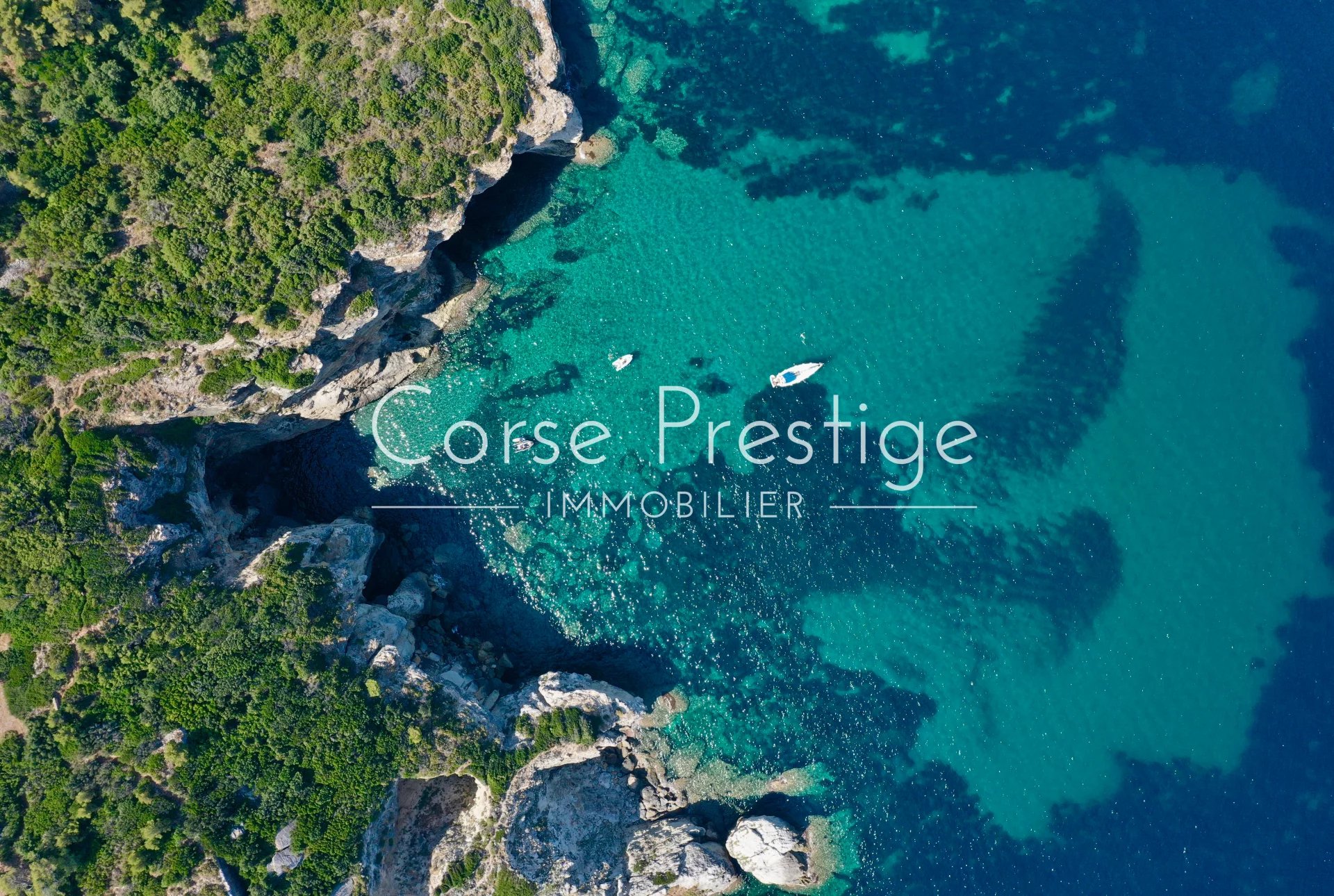 propriete exceptionnelle - pieds dans l-eau - saint florent - haute corse image1