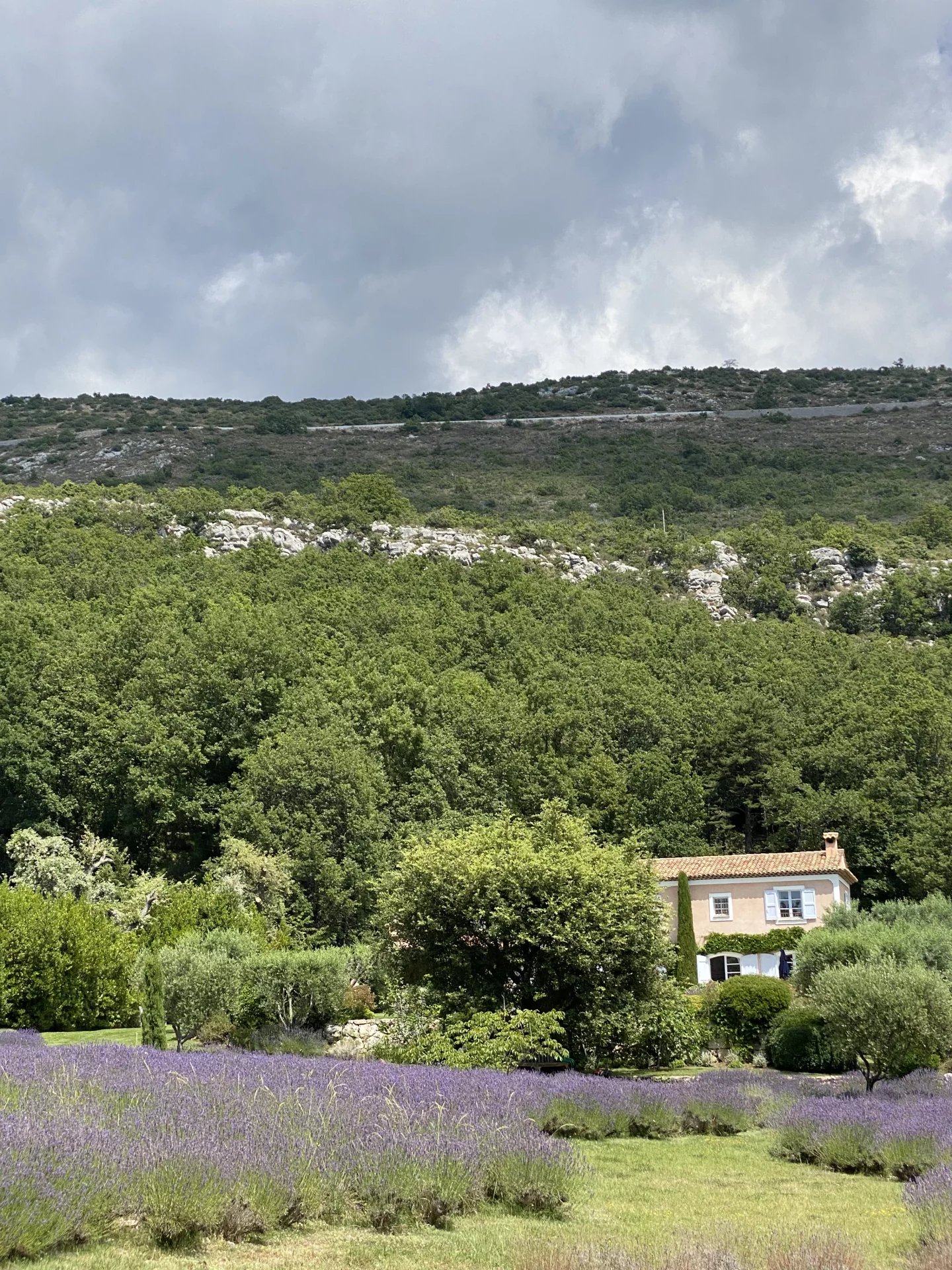 Magnificent property - Saint Vallier de Thiey