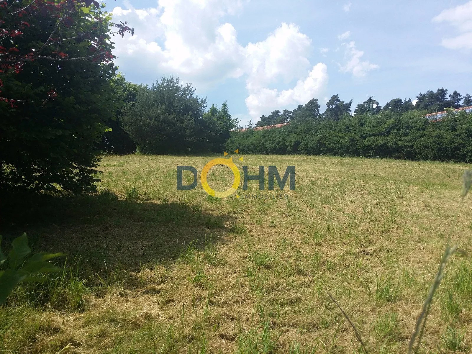 Vente Terrain La Chaise-Dieu