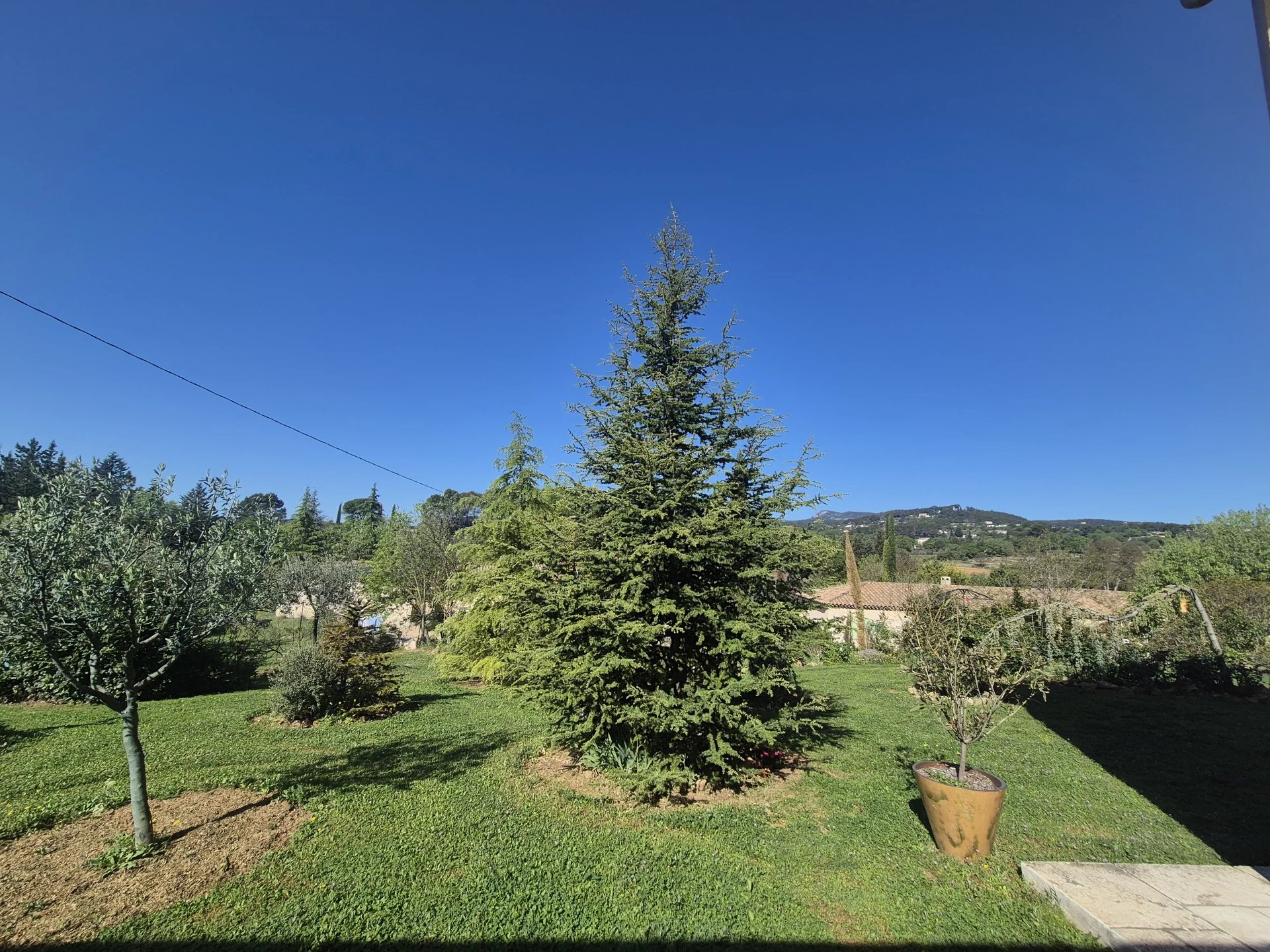 COTIGNAC TRES BELLE VILLA AVEC OLIVERAIE