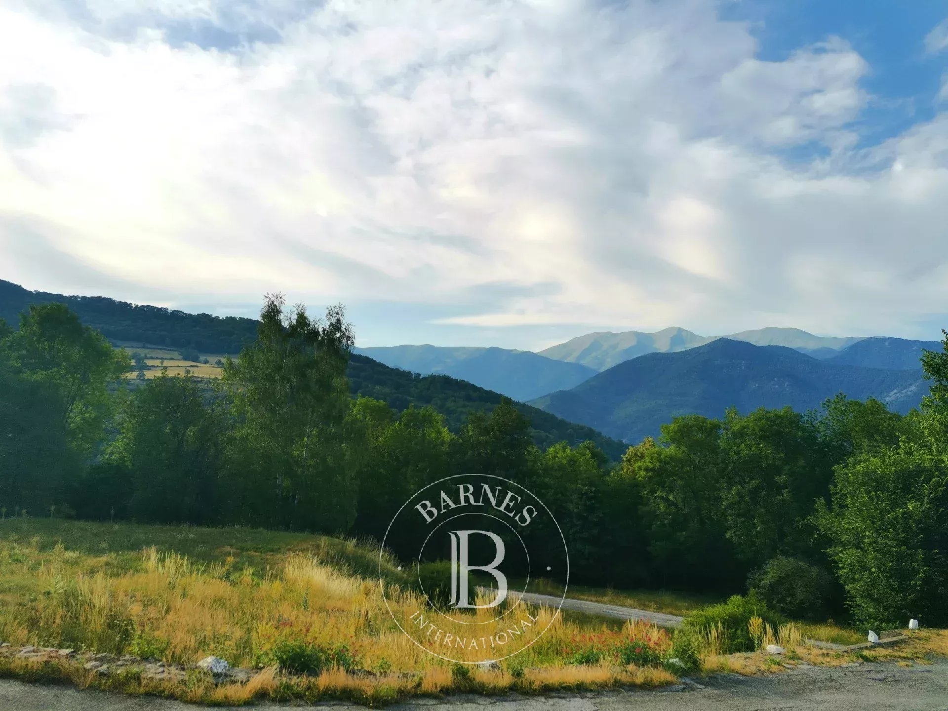 Mülkiyet Prats-de-Mollo-la-Preste - picture 18