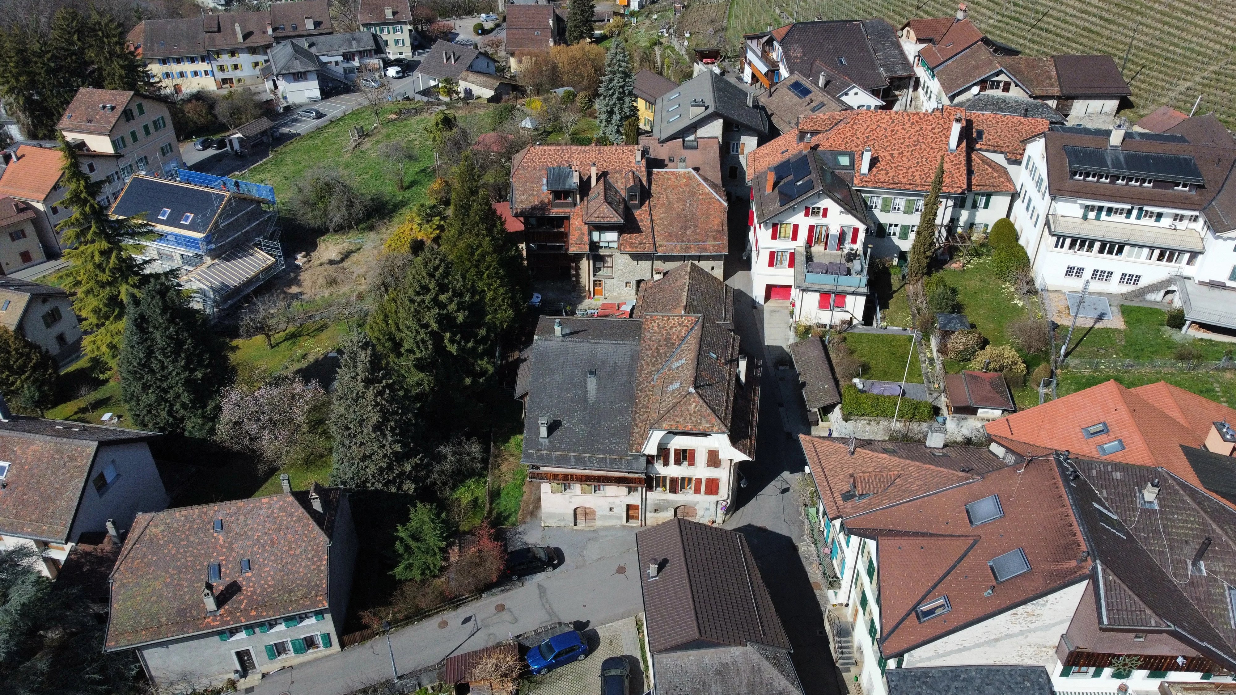 Maison à rénover dans environnement calme