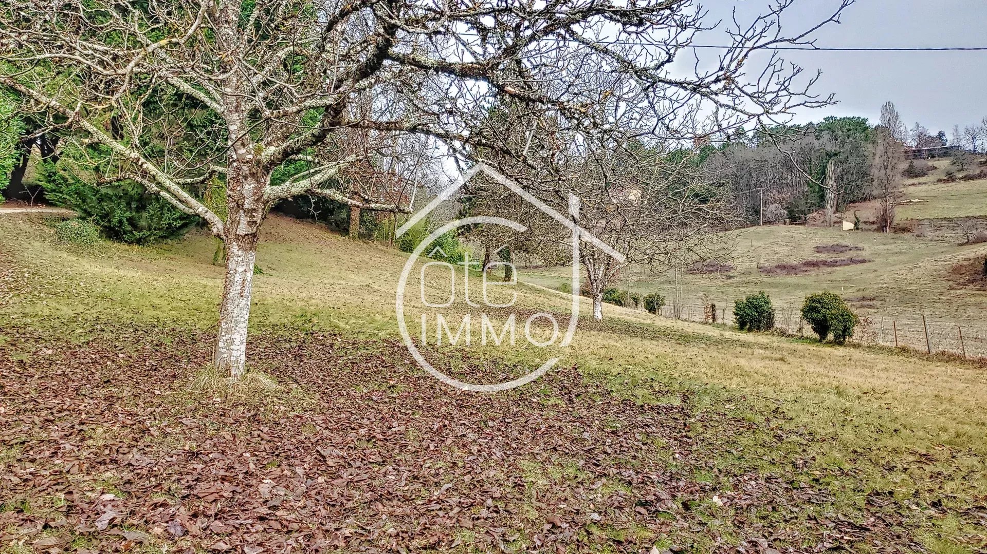 Agence immobilière de Agence Coteimmo.fr