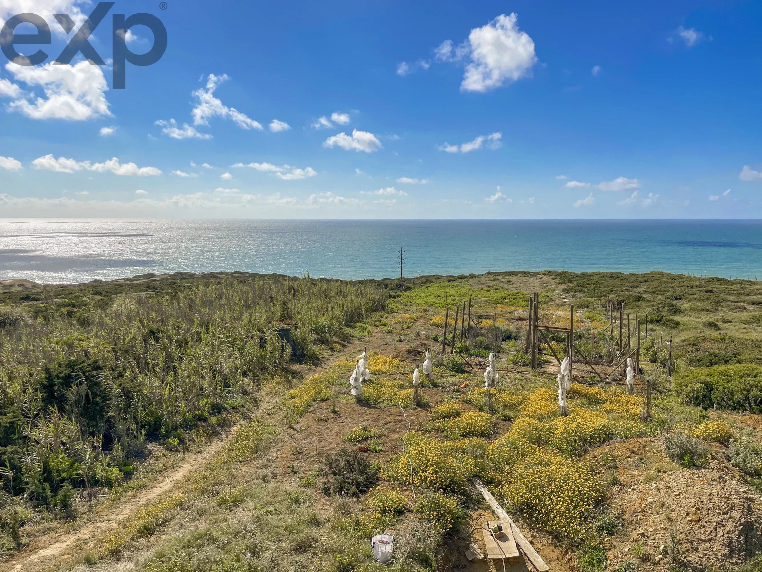 Rustic seafront plot 86729162 image 7