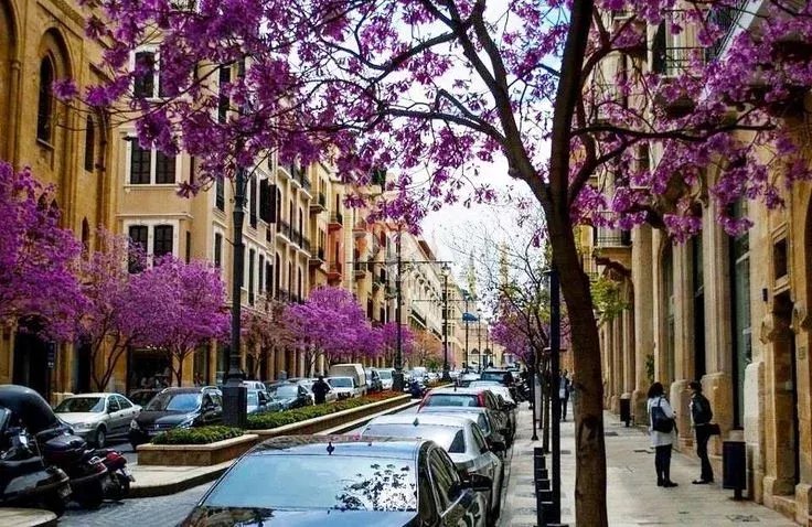 بيع مبنى بيروت Down Town