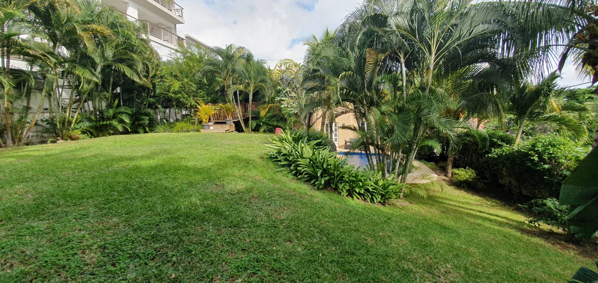 Ev Tamarin - picture 11