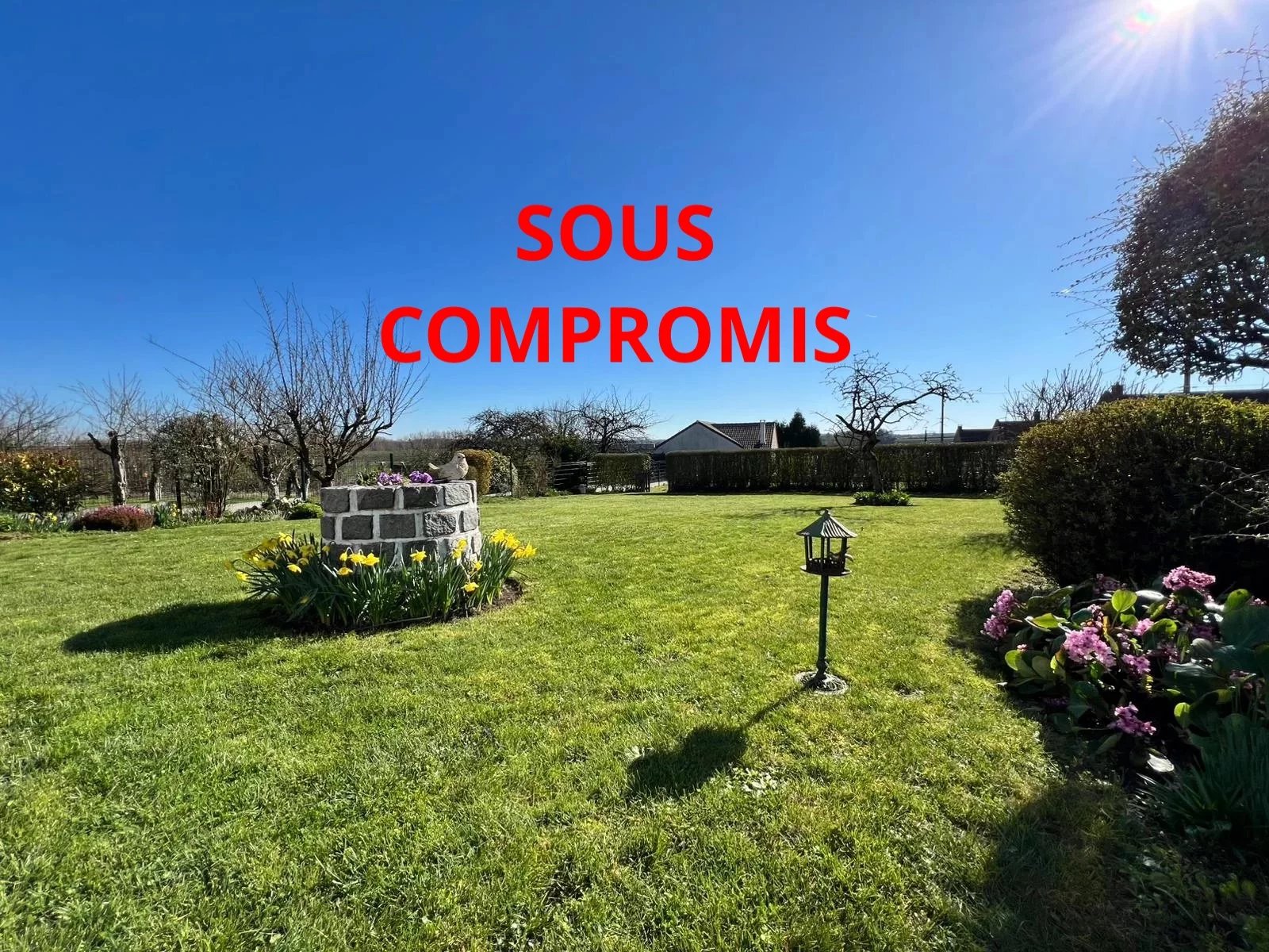 Agence immobilière de Eleven Immobilier