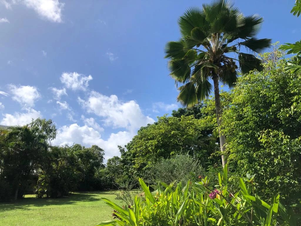 Yarı müstakil ev Grand Baie - picture 12