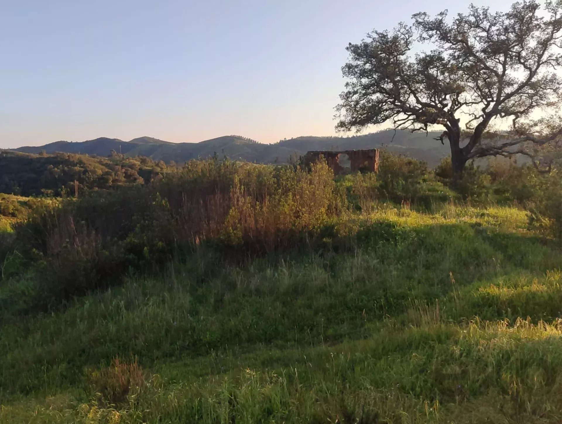 1.13 Hectares: Potential for Luxury Housing or Elite Tourist Project 8375-200 image 2