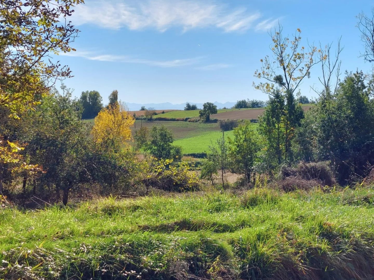 Village house for sale Samaran, Gers